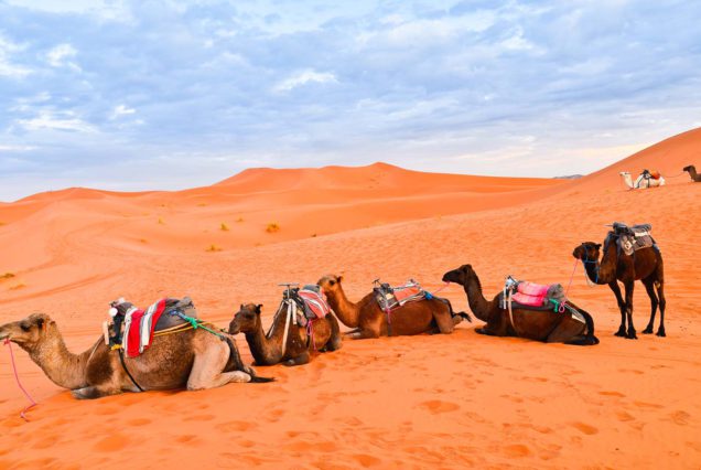 5 Days Tour from Marrakech to Merzouga Desert