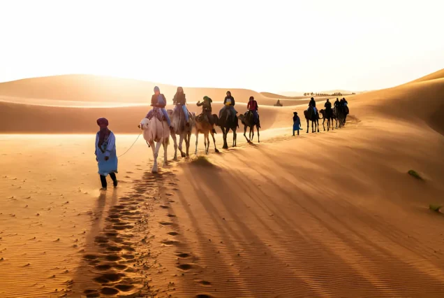 7 Days Desert Tour from Fes to Desert and Marrakech